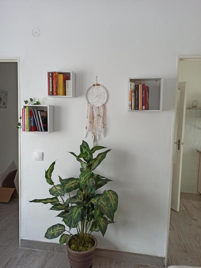 Apartamento Elizondo Giltxaurdi 외부 사진